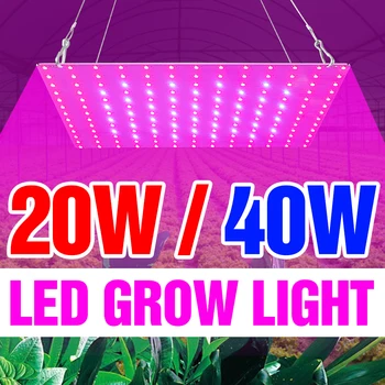 LED Visą Spektrą Augalams Augti, Lempos Palapinė 220V ES, JAV, UK Plug Fito Šviesos diodų (LED) Fitolampy 20W 40W Hydroponics Patalpų Augimą Lampara