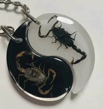 NEMOKAMAS PRISTATYMAS YQTDMY naujausias stiliaus mados aukso black scorpion king kietas dviejų spalvų apačioje keychain