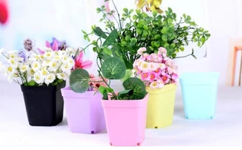 10vnt Mini Gėlių Vazonai su Dėklą Plastikinį Puodą Sodo Darbalaukio Namų Mokykla Spalvinga Augalų Medelynų Puodai
