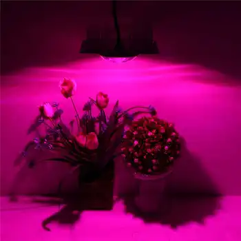 Aukštos PAR COB LED Grow Light Visą Spektrą 200/300/500W LED Augalų Auga Lempa su Stiklo Lęšio efektą Sukeliančių Augalų Hydroponic