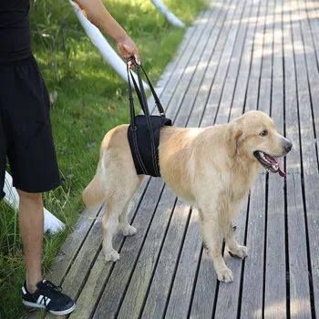Šunelis Paralyžius Neįgaliesiems Vidutinis Didelis Šunys Prieš Ir Po Reabilitacijos Pratimai Kojų Galūnės Užpakalinės Galūnės, Pagalbiniai Kėlimo Diržas