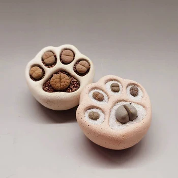 Cemento vazonas silikono formos vertus kūrybos katės letena baseino pelėsių sultingas augalas, sodo vazonas įrankis silikono formų