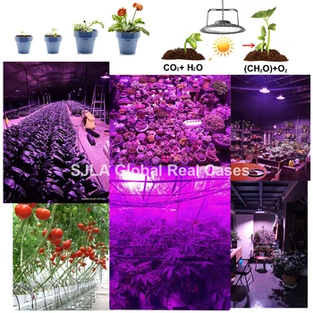 Viso Spektro Led Grow Light Vandeniui IP65 Augalų Augimo Daigų Auginimas Gėlių Šiltnamio efektą sukeliančių Palapinė Succulents Daržovių Ūkis