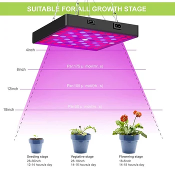 Auginimo Lempos, LED Grow Light Visą Spektrą 25W-80W Šiltnamio efektą sukeliančių Augti Palapinė Hydroponic Fito Lempos Sėklos, Daržovių Augti Šviesos Kambarinių Augalų