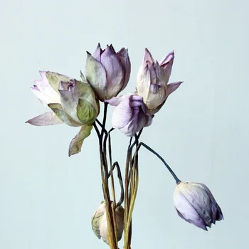 1Pcs Natūralių Džiovintų Gėlių Lotus 