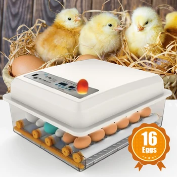 220V Kiaušiniai Inkubatoriaus Brooder Paukščių Putpelių Inkubatorius, Viščiukų Perykla Inkubatorius Paukščių Hatcher Turner, Automatinė Ūkio Inkubacijos Įrankiai