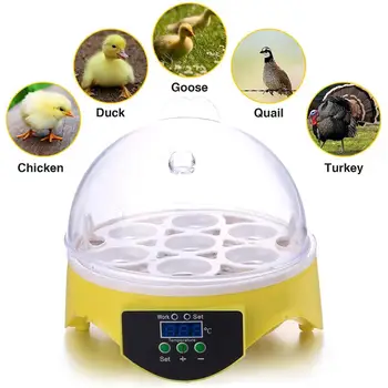 Mini 7 Kiaušinių Inkubatorius Paukščių Inkubatorių Brooder Skaitmeninis Temperatūros Perykla Kiaušinių Inkubatorius Hatcher, Vištienos, Antis, Paukštis, Karvelis