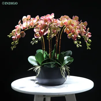 INDIGO - Balta Orchidėja (7pcs Orchidėja+5vnt Lapai+Puodą), 