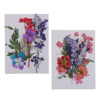 2 Pack Kelių Paspaudimų Džiovintos Gėlės Nekilnojamojo Dirbtinių Gėlių Dekoracijos Meno Amatų Scrapbooking už atviruką