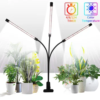 LED Grow Light Visą Spektrą Fitolampy su Kontrolės Augalai, Sodinukai, Gėlių, Patalpų Fitolamp Grow Box USB Fito Lempos