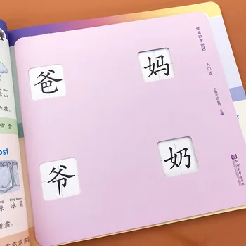Ikimokyklinio raštingumo 300 žodžių praktikos vadovėlis nušvitimą vaikų ankstyvojo ugdymo pripažinimo knygos mokytis Kinų praktika