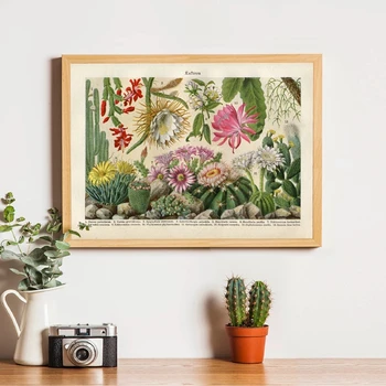 Kaktusas Gėlių Dykumos Augalai Succulents Drobės Tapybos Botanikos nuotraukas ir Plakatus Sienos Meno Nuotrauką Kambarį Namų Dekoro