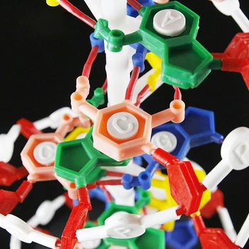 DNR Dvigubos Spiralės Modelis, su atraminėmis Genetinių, Biologinių Aids Mokyklos Biologinių Mokymo Įranga, M-1191