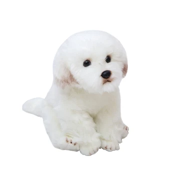 1pc Balta Maltos Šuniukas Mielas Pliušinis Žaislas, Įdaryti Šuo Modeliavimas Pet Kawaii Purus Kūdikių Lėlės Gimtadienio Dovana Vaikams Nuotrauka Prop