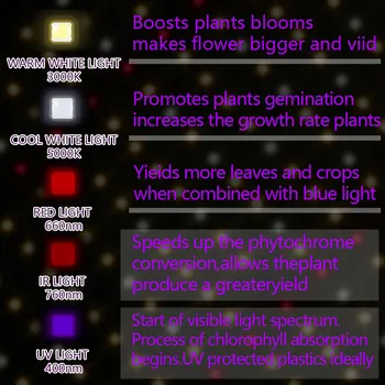 EnFun led grow light Phytolamp kambarinių augalų quantum visą spektrą gėlių sėklos valdybos namų lemputė 