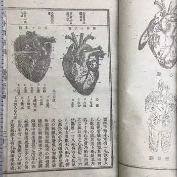 Chininese senosios Tradicinės Kinų Medicinos ligos knygą 9 rinkinį