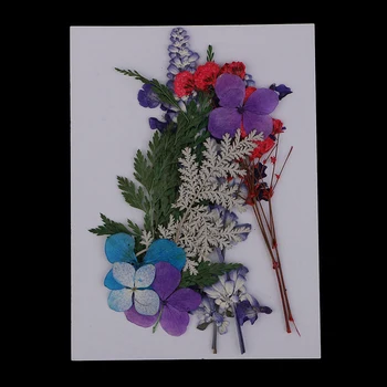 2 Pack Kelių Paspaudimų Džiovintos Gėlės Nekilnojamojo Dirbtinių Gėlių Dekoracijos Meno Amatų Scrapbooking už atviruką