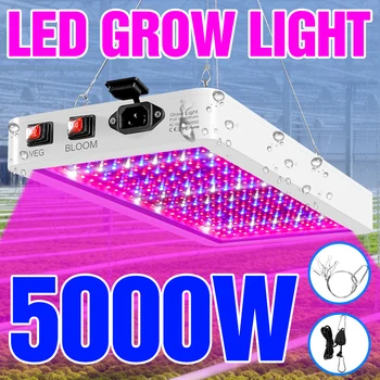 LED Quantum Valdybos Augalų Šviesos 2835 Chip Visą Spektrą Fito Lempa Auginti Sėklos, Gėlių 4000W 5000W Vandeniui Augti Žiburiai