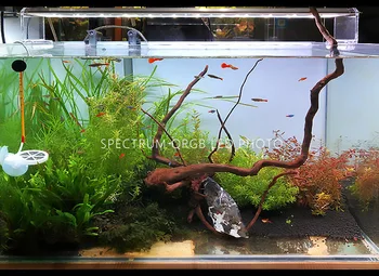 Vandens Augalų auga RGB LED šviesos sunrise sunset akvariumo vandens augalų, žuvų bakas ADA stiliaus naujas atvyko!
