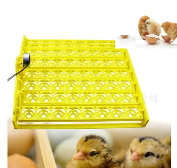 56 Kiaušinių Inkubatorius mini Perykla Ruožtu Dėklas Vištienos Inkubacijos Įrankis Paukščių Kiaušinių Inkubatorius Automatinė Kiaušinių Hatcher inkubacijos equipmen