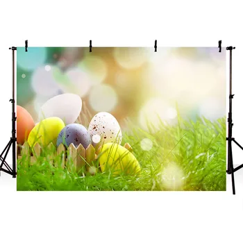 Avezano Backdrops Pavasario Easter Bunny Kiaušiniai Ramunės Žolės Valdyba Vaikų Fotografija Tapetai Fotostudija Photozone Rekvizitai