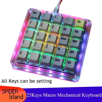 25Keys Makro Klaviatūros Rinkinys Programavimo Programuojamą Klaviatūrą, RGB Apšvietimas Hot Swap Mechaninė Klaviatūros Nustatymas gateron nr. keycap