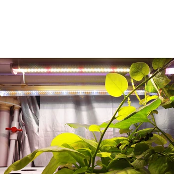 Led Grow Light Bar viso Spektro LED Augalų Auga Lemputės Phytolamp efektą Sukeliančių Augalų, Gėlių Sėklos Hydroponics Augti Palapinė