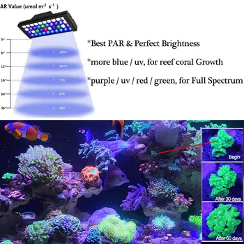PopBloom Smart Led akvariumo šviesą akvariumo žuvų bakas jūrų akvariumas apšvietimas šviestuvai žuvų lempa su aušros saulėlydžio valdytojas