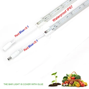 2VNT LED Grow Light IP67 atsparus Vandeniui 50CM Su Kištukas DC LED Juostelė Šviesos 5630 už Akvariumas Šiltnamio efektą sukeliančių Augalų Auginimo Šviesos
