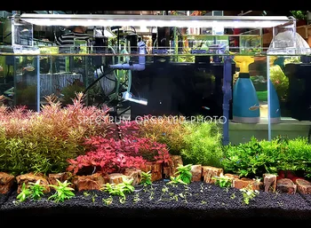 Vandens Augalų auga RGB LED šviesos sunrise sunset akvariumo vandens augalų, žuvų bakas ADA stiliaus naujas atvyko!