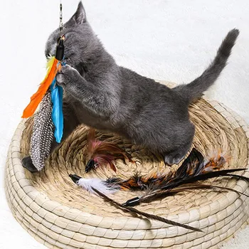 Katė Erzinti Interaktyvus Žaislas Ištraukiamas Žvejybos Polių Su 5 Pakeitimo Plunksnų Kačiukas Kibinimas Lazdelė Žaislas